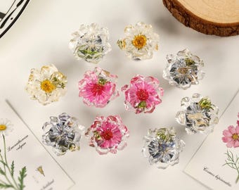 May include: A collection of clear resin flower-shaped objects with real flowers inside. The flowers are in various colors, including white, yellow, and pink. The objects are arranged on a white surface with botanical illustrations.