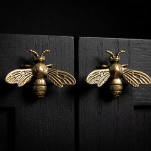 Vintage Bee Beetle Cabinet Drawer Handles Knobs, Victorian Antique Brass Moth Dresser Cupboard knob Forest animals Wardrobe Closet Knob pull