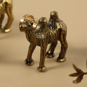 May include: A detailed, antique-style brass camel figurine. The camel is in a standing position with intricate detailing on its body. The figurine is approximately 7.6 cm long and is a decorative item.