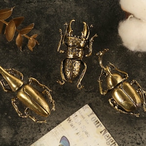 Può includere: Tre sculture di scarabei dorati. Gli scarabei sono dettagliati e hanno una finitura testurizzata.