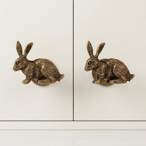 May include: Two antique brass-toned cabinet knobs shaped like sitting rabbits. Each knob features a detailed, textured finish depicting the fur and ears of a rabbit in a crouching position, mounted on a circular base attached to a white cabinet door.