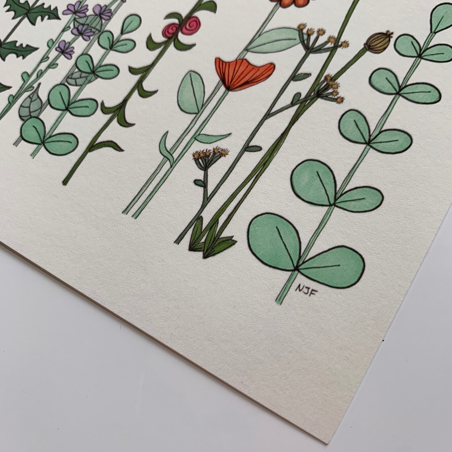 Flower Art Flower Art Print Flower Garden Marker Drawing - Etsy