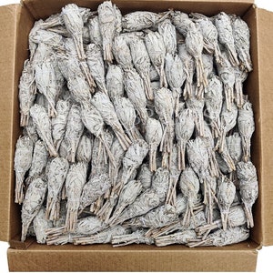 25 White Sage Torch Smudge Sticks Wholesale, 25 white sage wands bulk, Bulk Sage Wands, Bulk White Sage Bundle, White Sage for Cleansing
