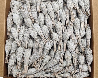 25 White Sage Torch Smudge Sticks Wholesale, 25 white sage wands bulk, Bulk Sage Wands, Bulk White Sage Bundle, White Sage for Cleansing