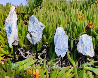 Blue Kyanite on Stand, Blue Kyanite Rough, Blue Kyanite Crystal, Blue Kyanite, Raw Blue Kyanite, Rough Blue Kyanite, Crystal Home Decor