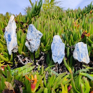 Blue Kyanite on Stand, Blue Kyanite Rough, Blue Kyanite Crystal, Blue Kyanite, Raw Blue Kyanite, Rough Blue Kyanite, Crystal Home Decor