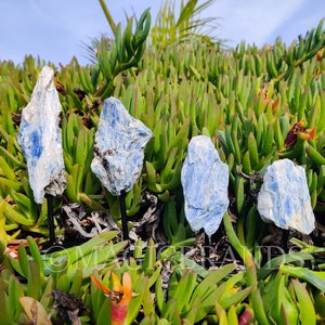 Blue Kyanite on Stand, Blue Kyanite Rough, Blue Kyanite Crystal, Blue Kyanite, Raw Blue Kyanite, Rough Blue Kyanite, Crystal Home Decor