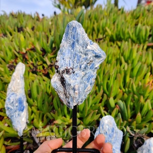 Blue Kyanite on Stand, Blue Kyanite Rough, Blue Kyanite Crystal, Blue Kyanite, Raw Blue Kyanite, Rough Blue Kyanite, Crystal Home Decor