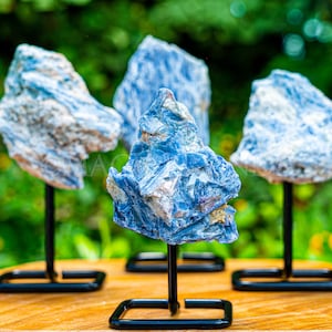 Raw Blue Kyanite Crystal Cluster on Stand