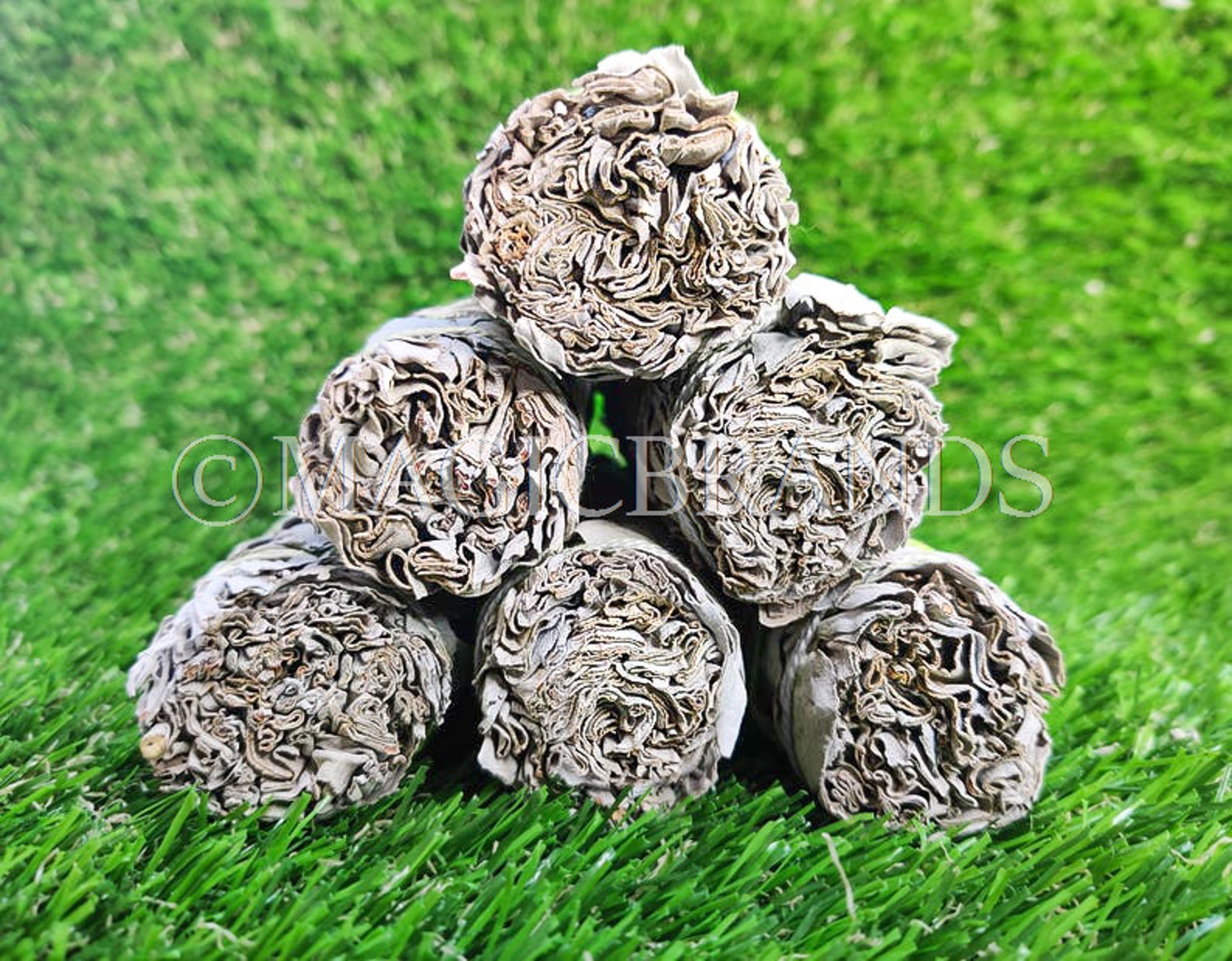 White Sage Smudge Sticks Near Me Find Authentic Local Sources