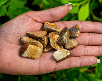 1 lb Picture Jasper Tumbled Stones, Natural Healing Crystals
