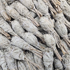 Wholesale White Sage Torch Smudge Sticks, Choose 1 to 200 Wholesale (Bulk Sage Bundle, Bulk White Sage Bundle, Palo Santo) FREE SHIPPING