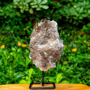 May include: A smoky quartz crystal cluster, mounted on a black metal stand. The crystal has a translucent, brownish-gray color and a rough, textured surface. The background is a blurred view of green foliage.