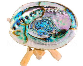 Abalone Shell 6-7" inch for Smudge kit, Smudging Bowl to Smudge White Sage Smudge Sticks or Palo Santo Bulk Wholesale FREE SHIPPING