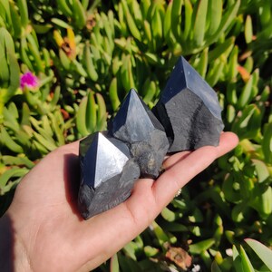 May include: Three black obsidian crystal points of varying sizes, with a pointed tip and a rough, natural surface. The crystals are held in a hand against a background of green foliage.