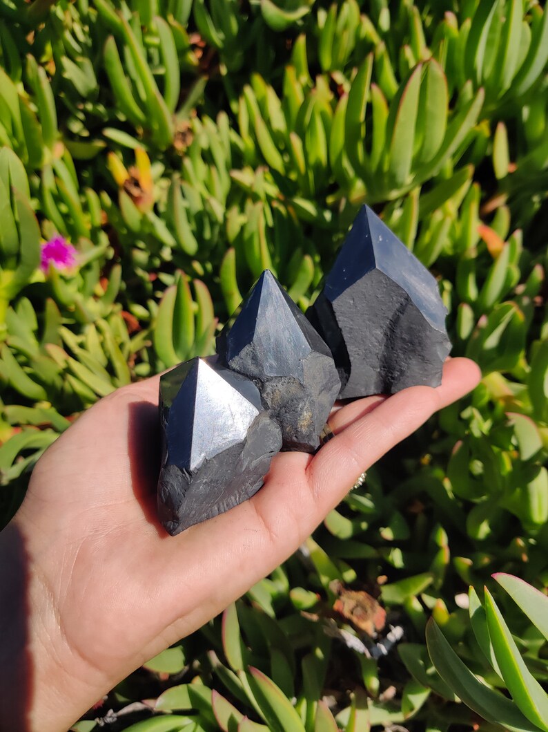 May include: Three black obsidian crystal points of varying sizes, with a pointed tip and a rough, natural surface. The crystals are held in a hand against a background of green foliage.