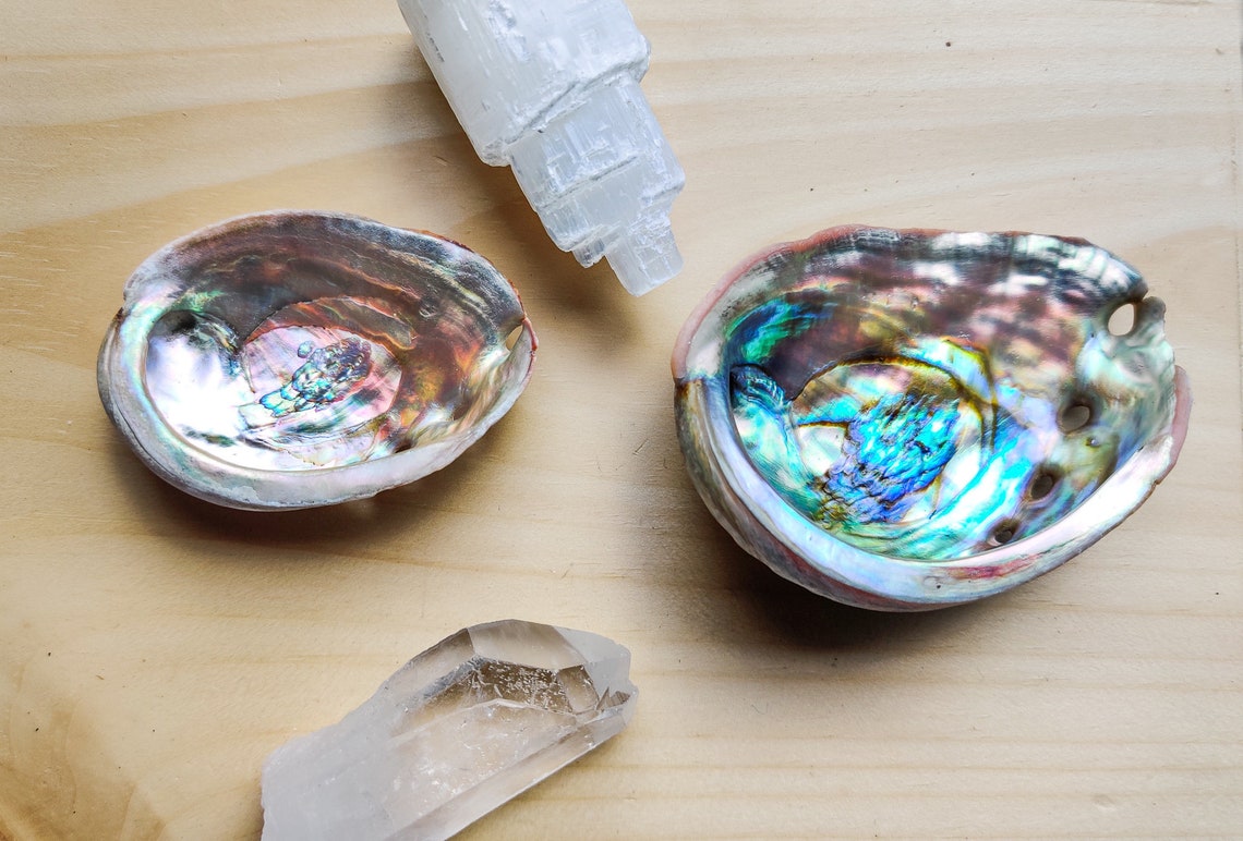 Wholesale Abalone Shells for Smudging Smudging Bowl to Smudge Etsy