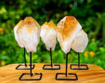 Citrine Crystal Point on Stand, 4-5" Healing Gemstone