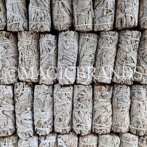 White Sage Smudge Wholesale Bulk Bundles: Choose 10, 20, 50, or 100 Sticks (4" White Sage Sage Bundle, Smudge Stick) Ethically Harvested