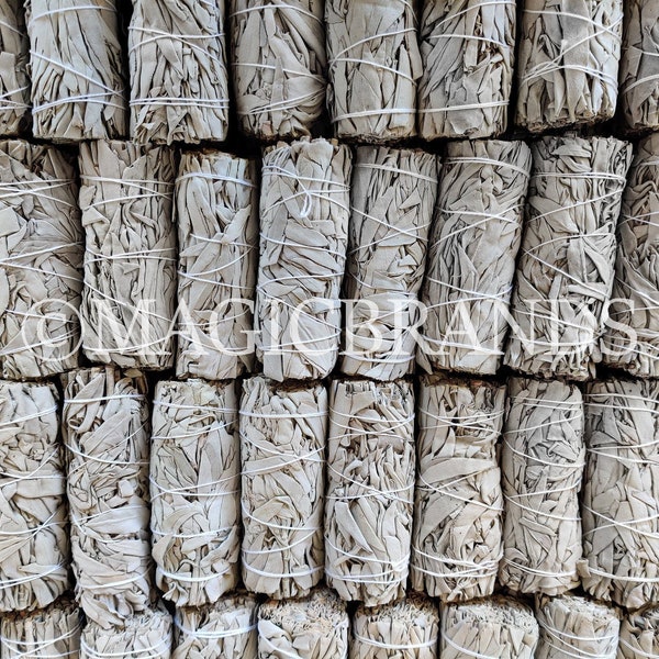 Wholesale White Sage Smudge Sticks, 10,25, 50, 100, 200, etc., Bulk Sage Bundle, California White Sage Bundle Wholesale, Energy Cleansing