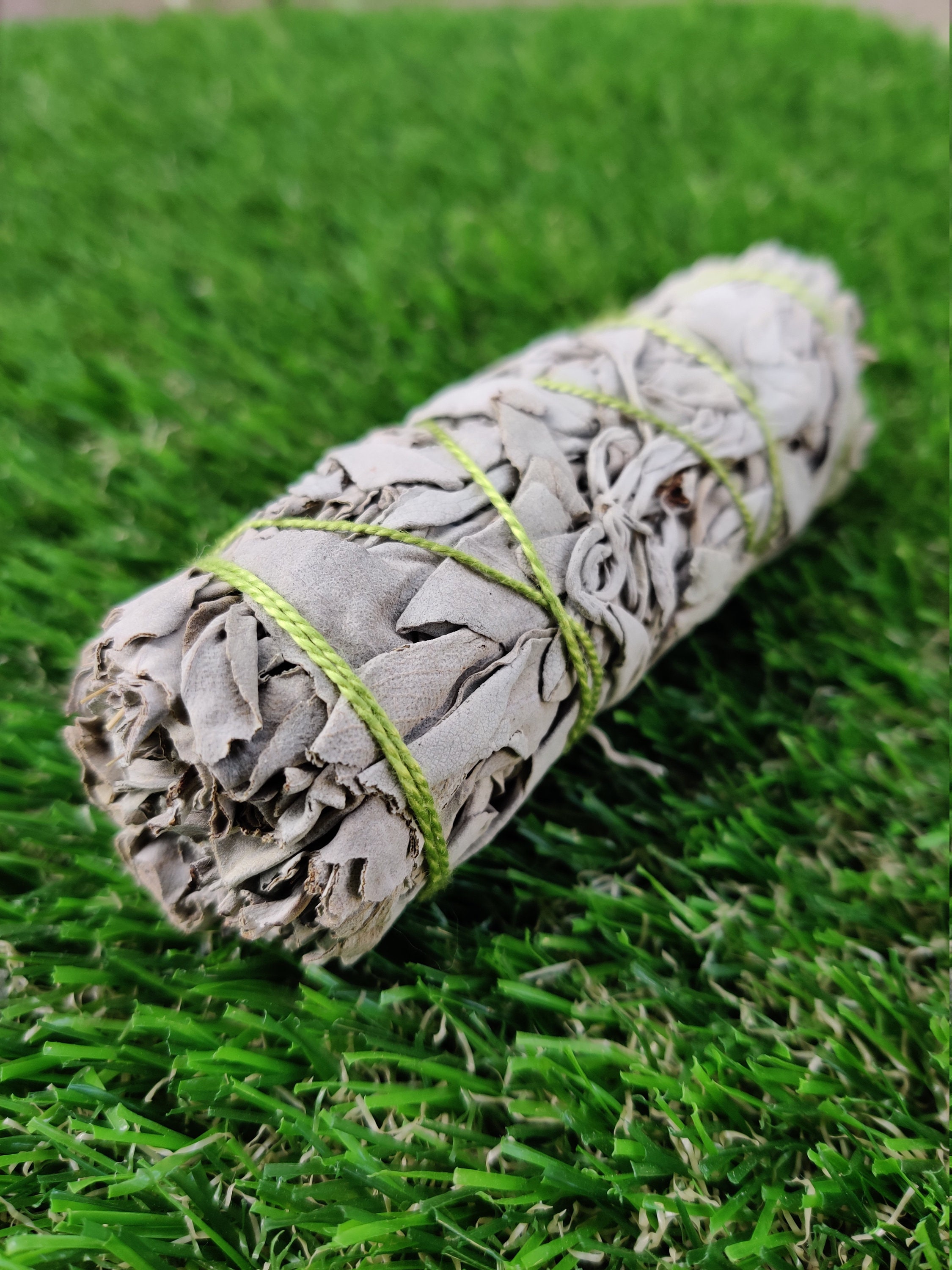 White Sage Smudge Kit Mini With Detailed Instructions Abalone Etsy