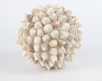 Shell Spike Balls