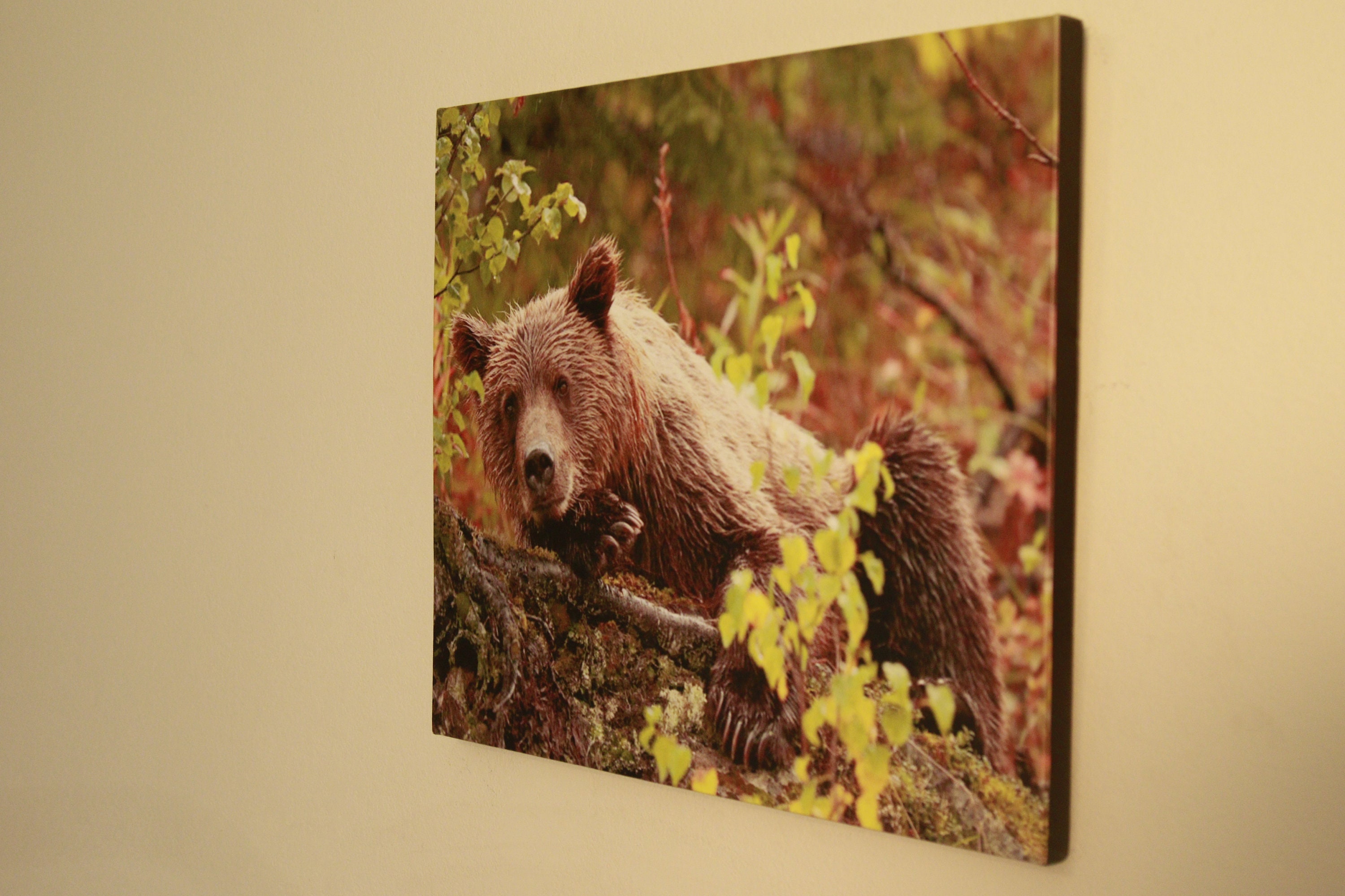 16X20 Canvas of any photo on the site. Example shown | Etsy