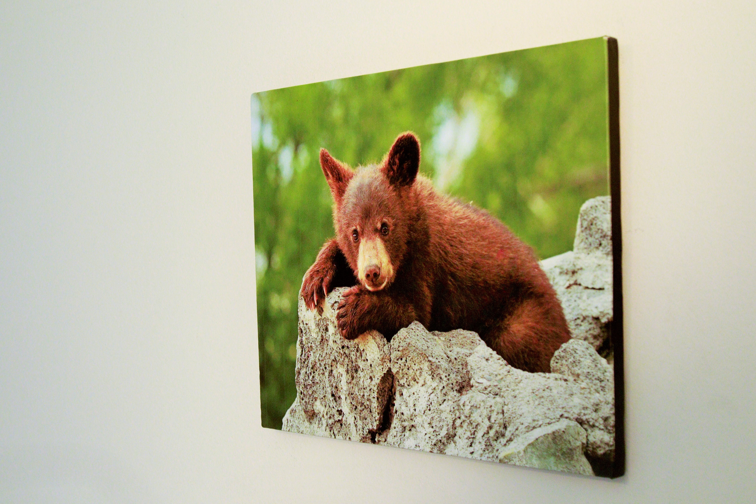 16X20 Canvas of any photo on the site. Example shown | Etsy