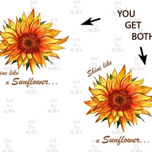 Sunflower Sublimation, Sunflower sublimation design, Shine like a Sunflower sublimation, Sunflower png, Instant Download, Digital Download