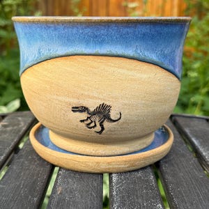 May include: A handmade ceramic planter with a blue glazed rim and a tan body. A black dinosaur skeleton is etched on the front. The planter sits on a matching saucer, perfect for indoor or outdoor plants.