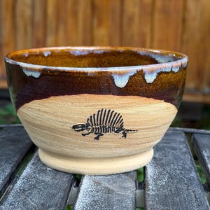 May include: A ceramic bowl with a beige unglazed lower section featuring a black stamped skeleton of a dimetrodon. The upper portion of the bowl is finished with a glossy dark brown glaze that drips down toward the center in white accents.