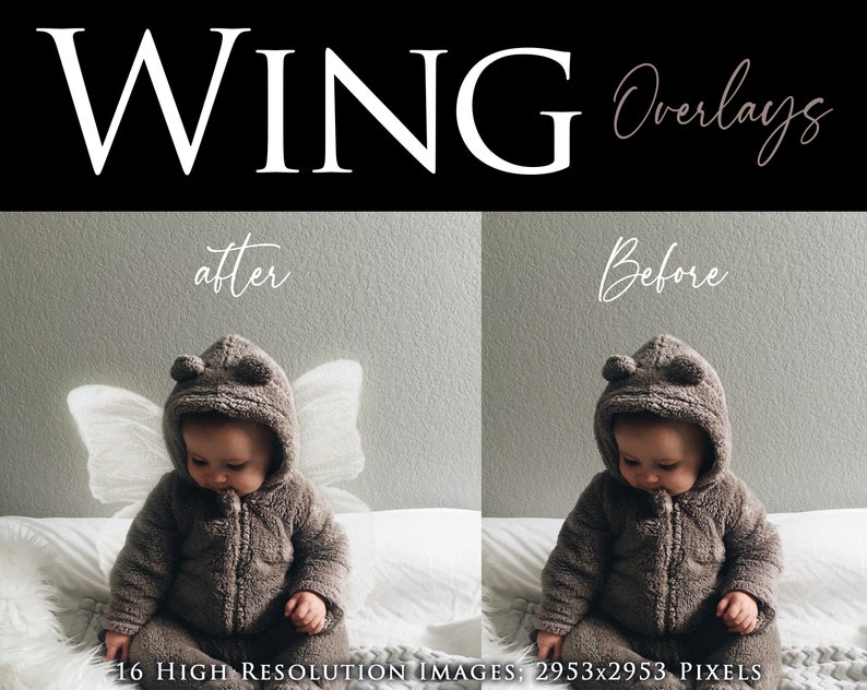 An old pencil drawing of Don Quixote and Sancho Panza sitting on their horses, by Wilhelm Marstrand.