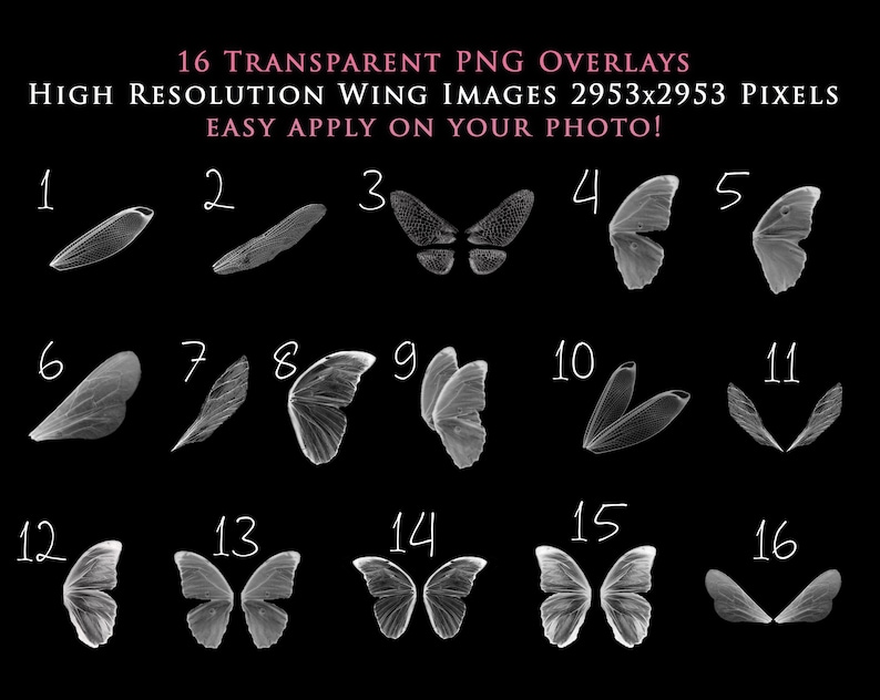 An old pencil drawing of Don Quixote and Sancho Panza sitting on their horses, by Wilhelm Marstrand.