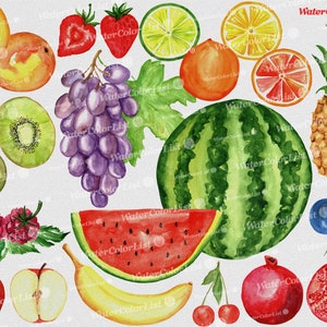Frutas|Bagas|Pêssego|Maçã|Pêra|Morangos|Banana|Cereja|Romã|Uvas|Laranjas|Abacaxi|Limão|Limão|Kiwi|Melancia|Aquarela imagem