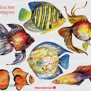 Fish Watercolor image, sea, aquarium fish, colorful picture, illustration, hand painting, clip art, download digital PNG file