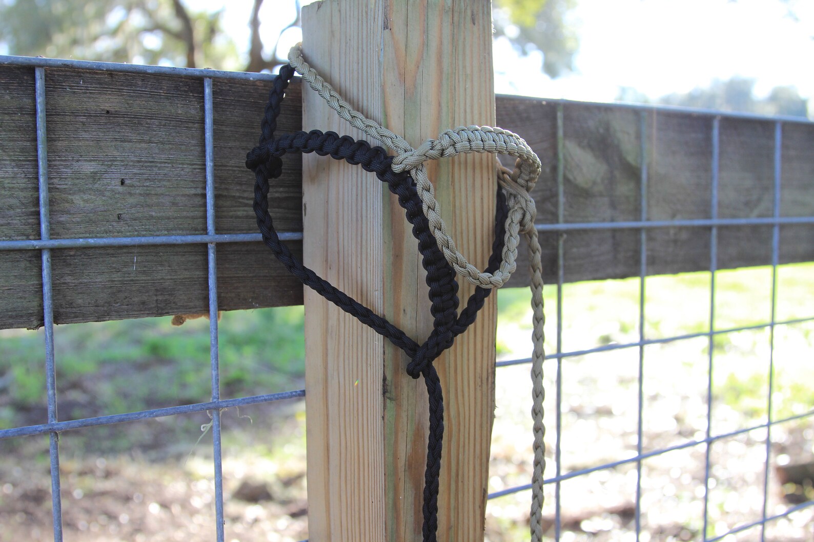 Custom Sheep/goat Paracord Show Halter Etsy