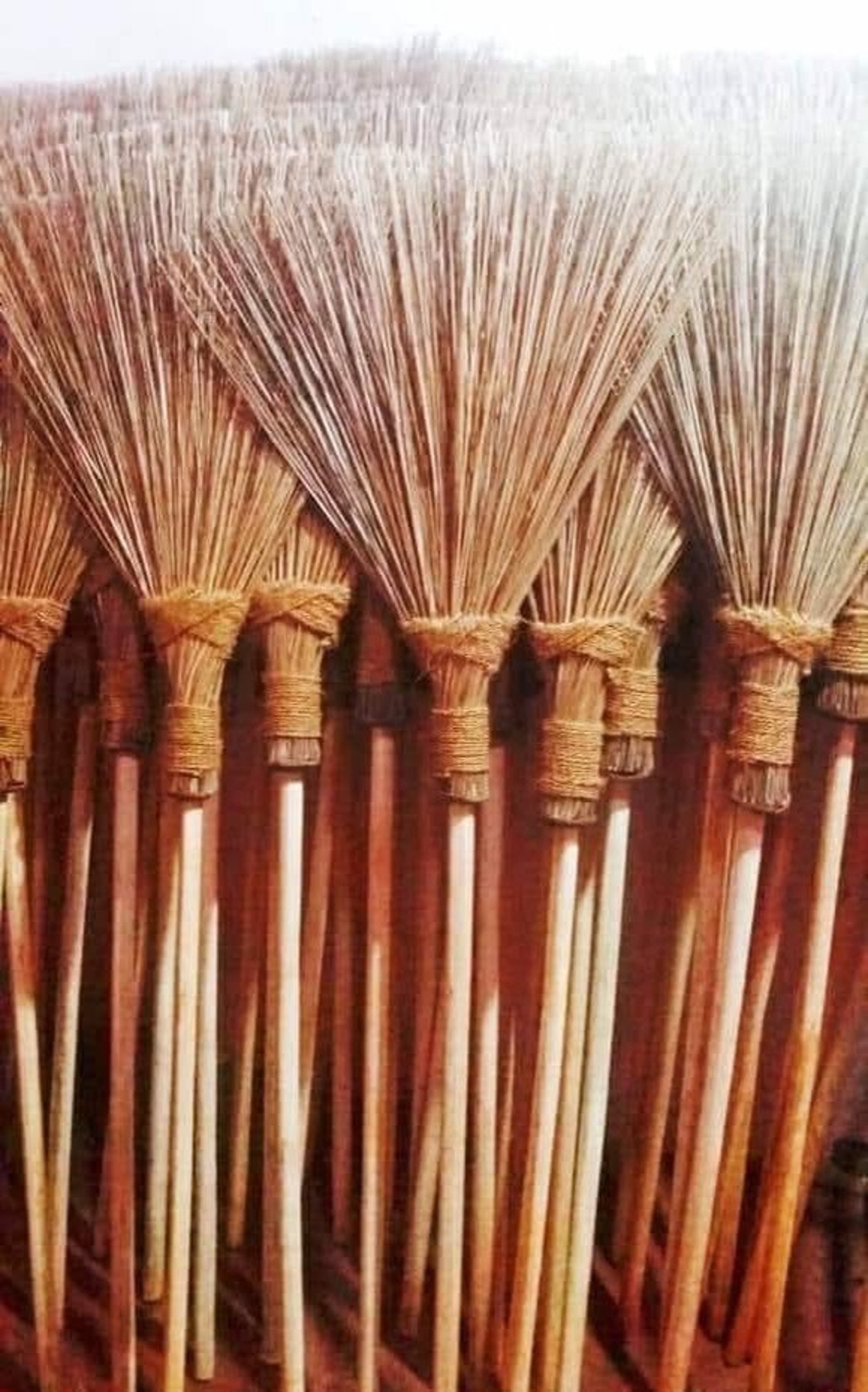 Coconut Palm Garden Broom Etsy