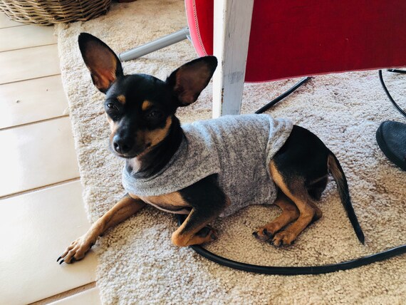 Dog sweater for hot sale anxiety