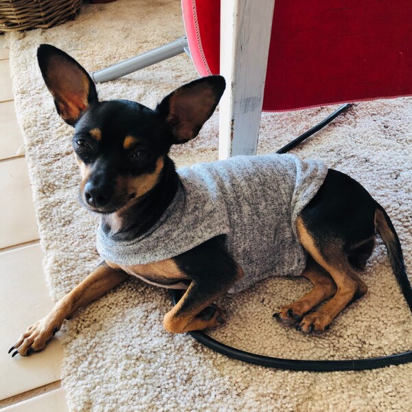 Dog Vest Etsy