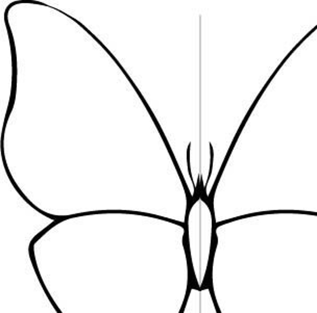 Butterfly Template - Etsy