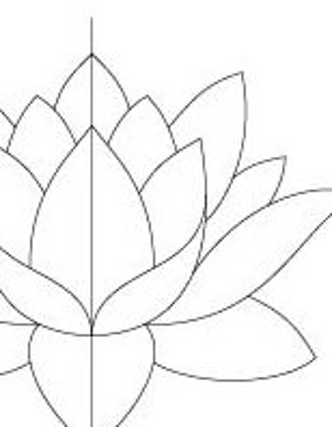 LOTUS 2M2 N 3rd. GEN 美品 Small Pink Lotus | Herschel Shapiro