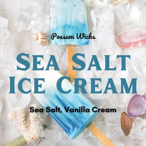 Sea Salt Ice Cream Kingdom Hearts Inspired Soy Candle Video Games