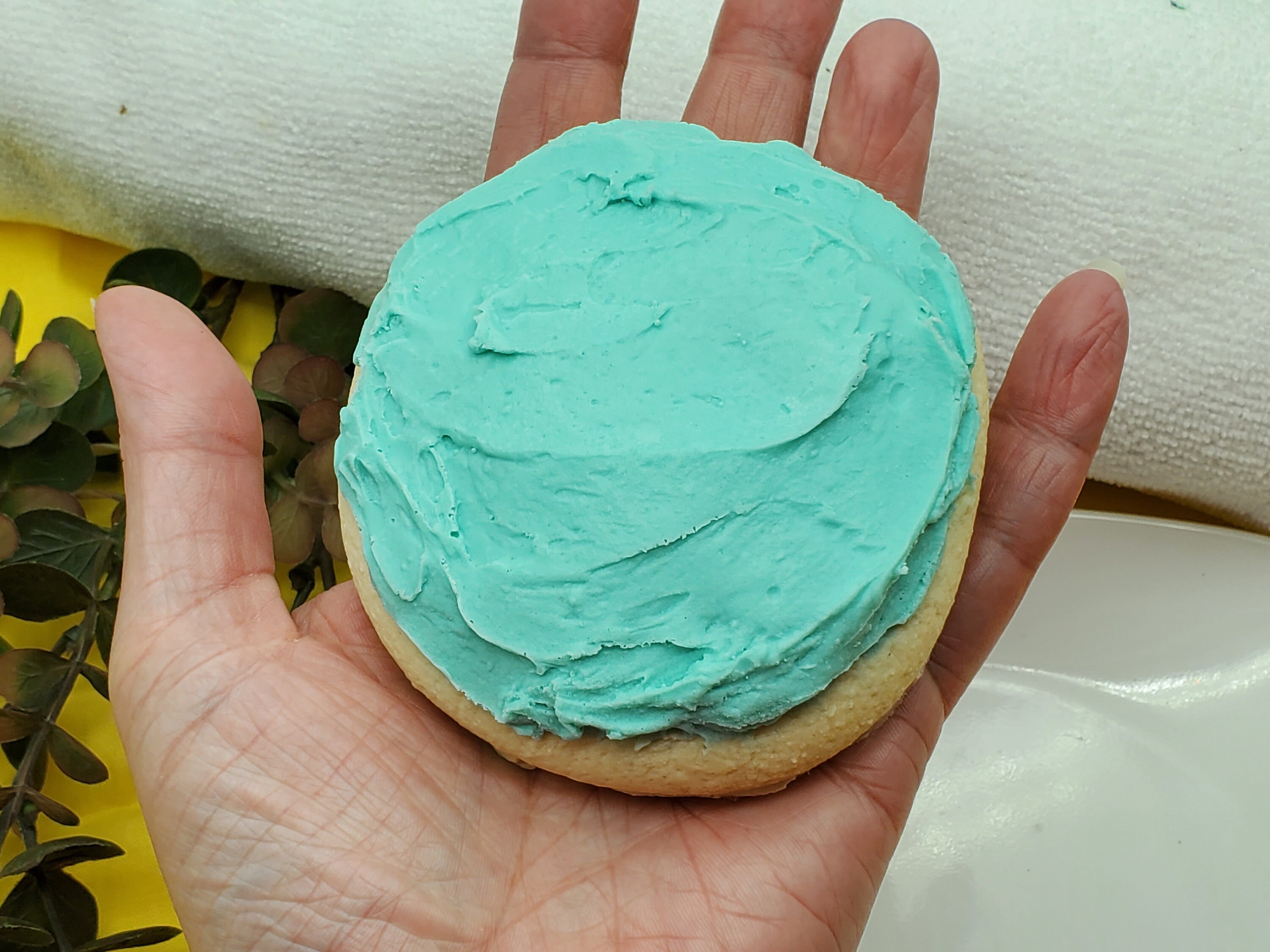 Giant Frosted Sugar Cookie Soap Choose Your Frosting Color Etsy