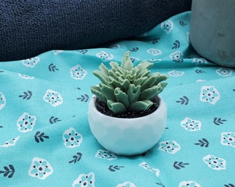 Mini Potted Succulent Soap! Little tiny aloe plant soap! Realistic soap that looks like a succulent! SLS Free! Phthalate Free!