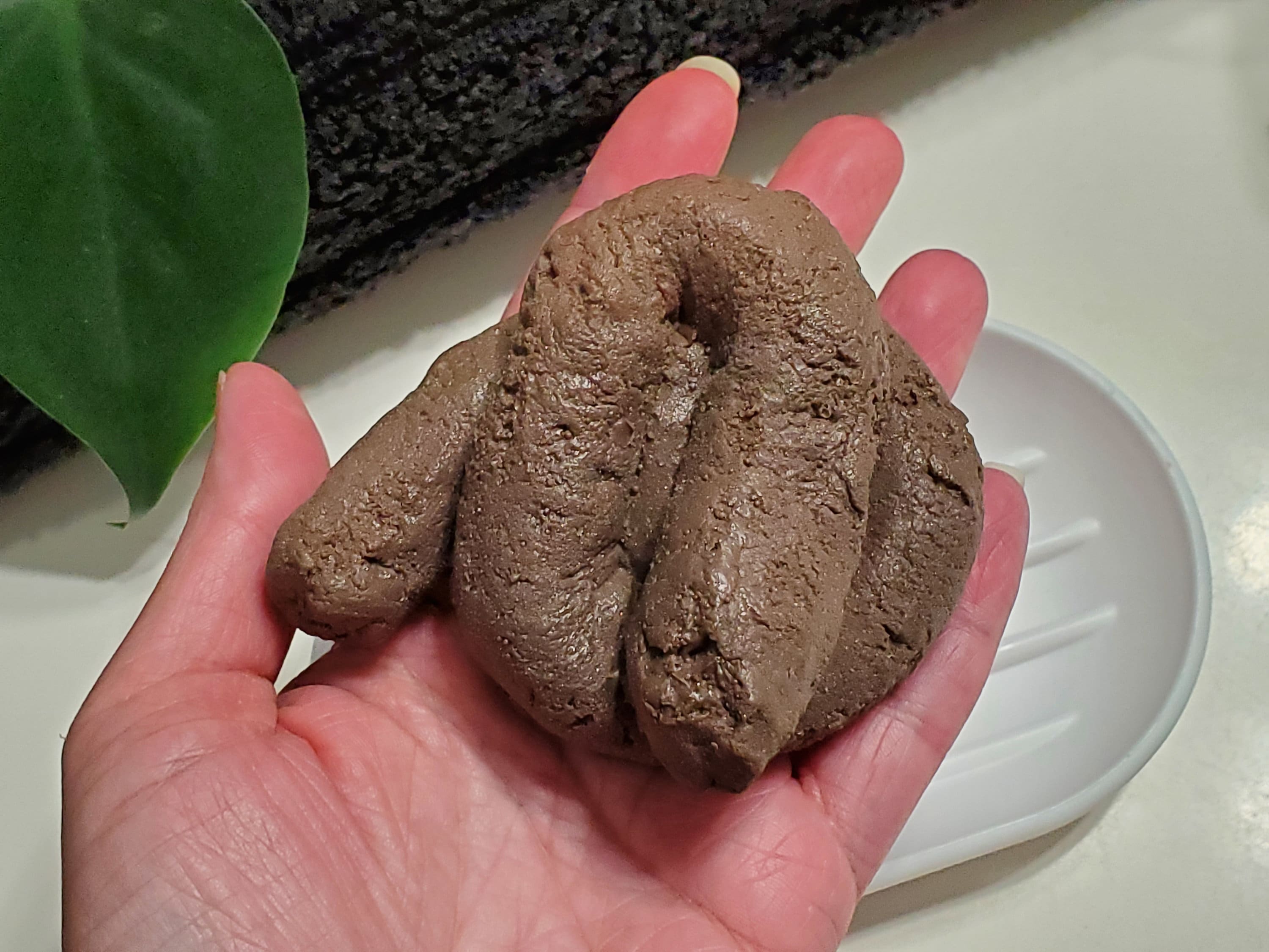 Realistic Scented Dog Poop Soap