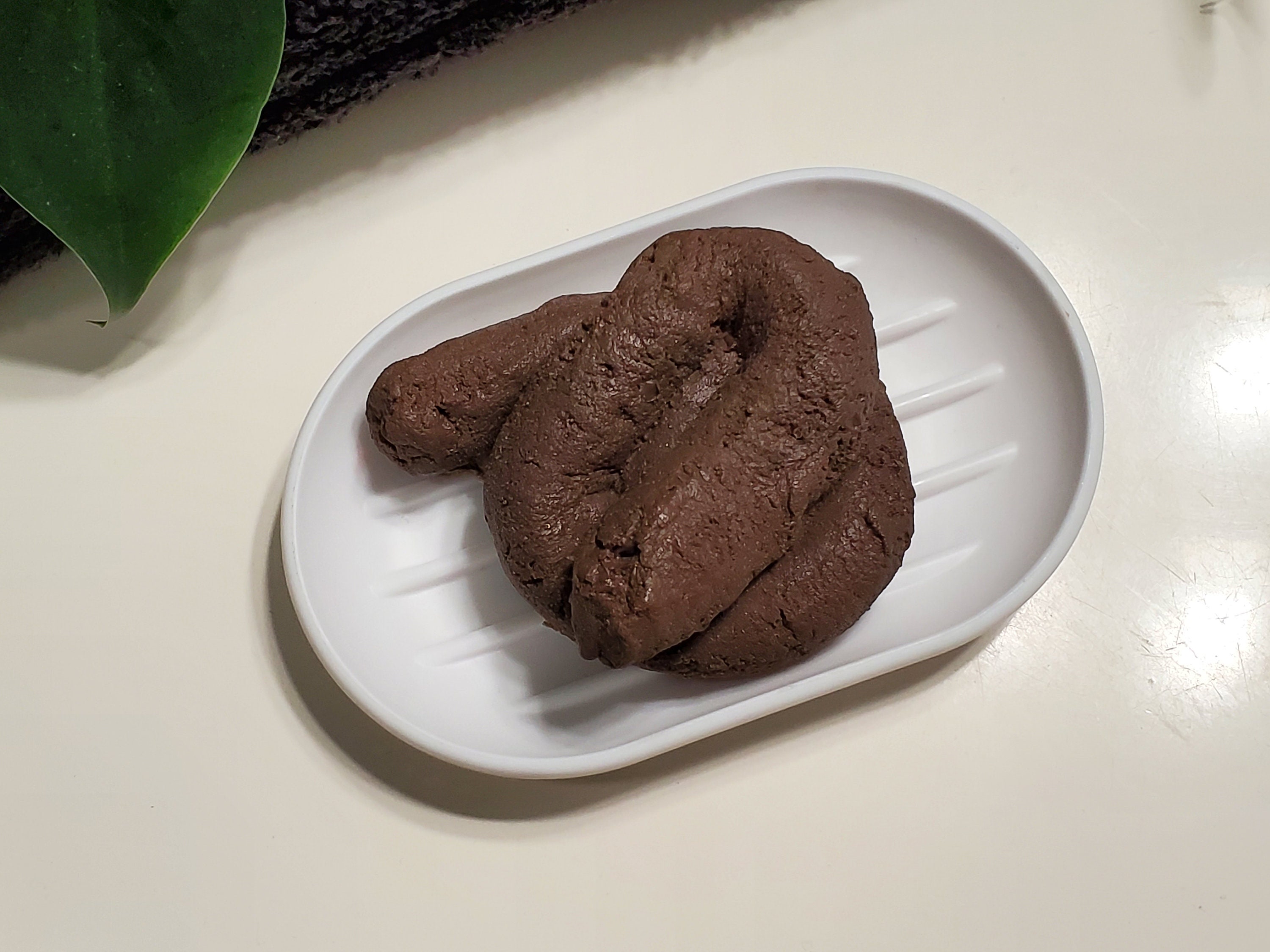 Fake Dog Poop Crap - Etsy