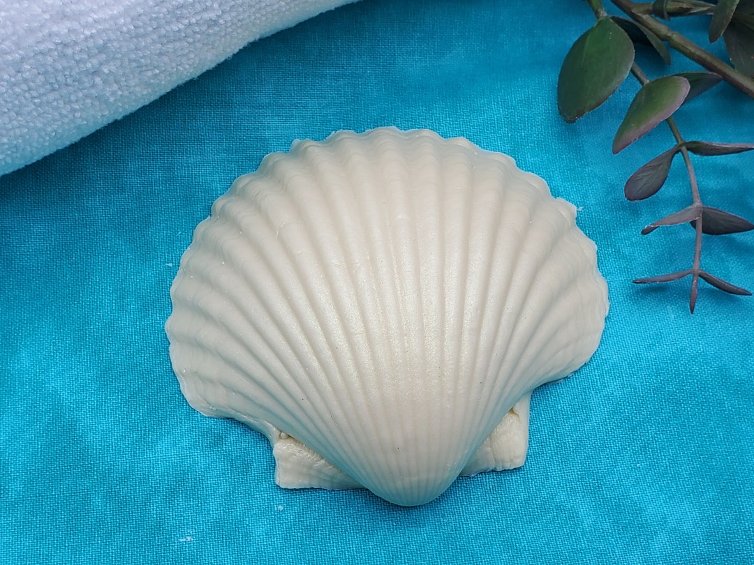 Large Sea Shell Soap! Choose Your Scent! Realistic Soap That Looks Like ...