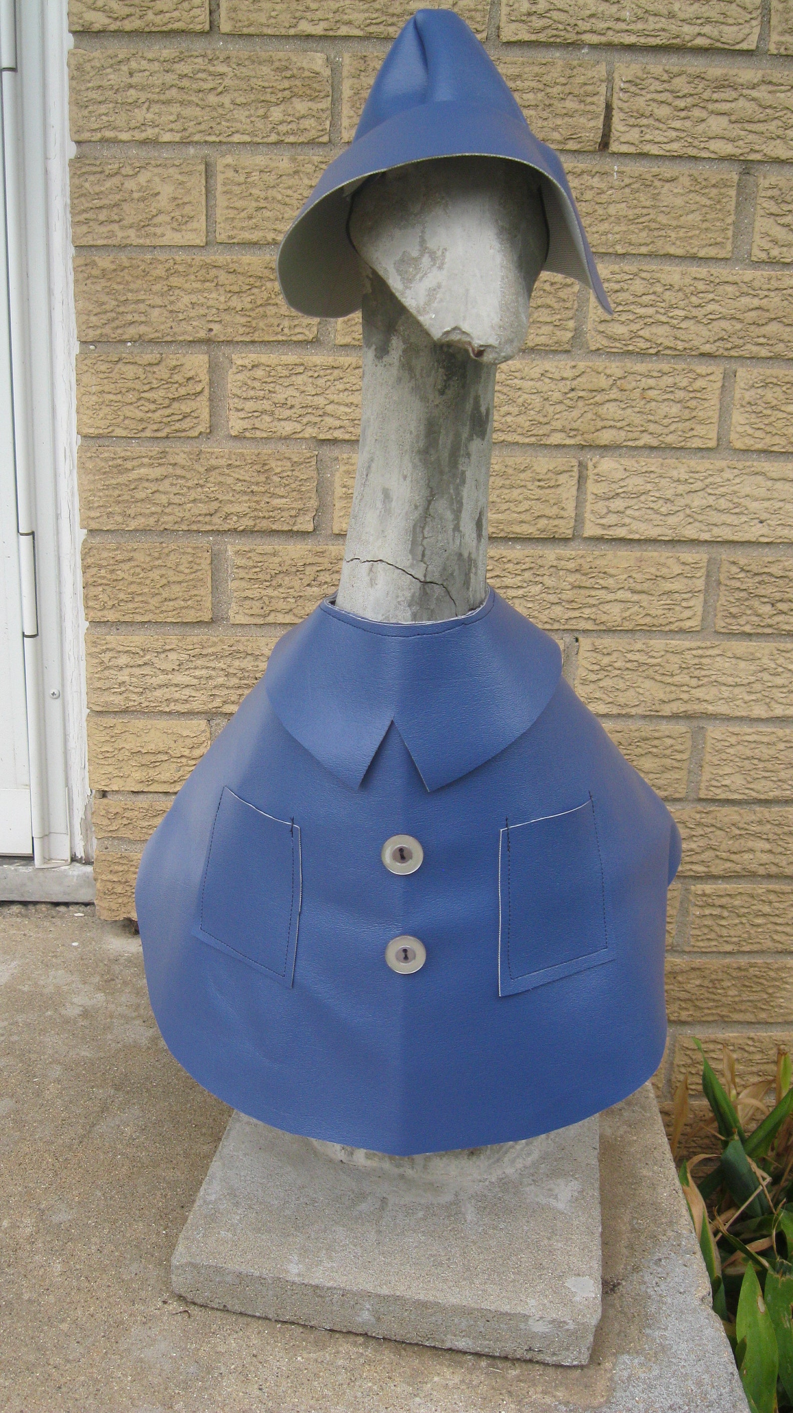 Rain Coat/marine Vinyl Goose Dress/goose Clothes/concrete Etsy