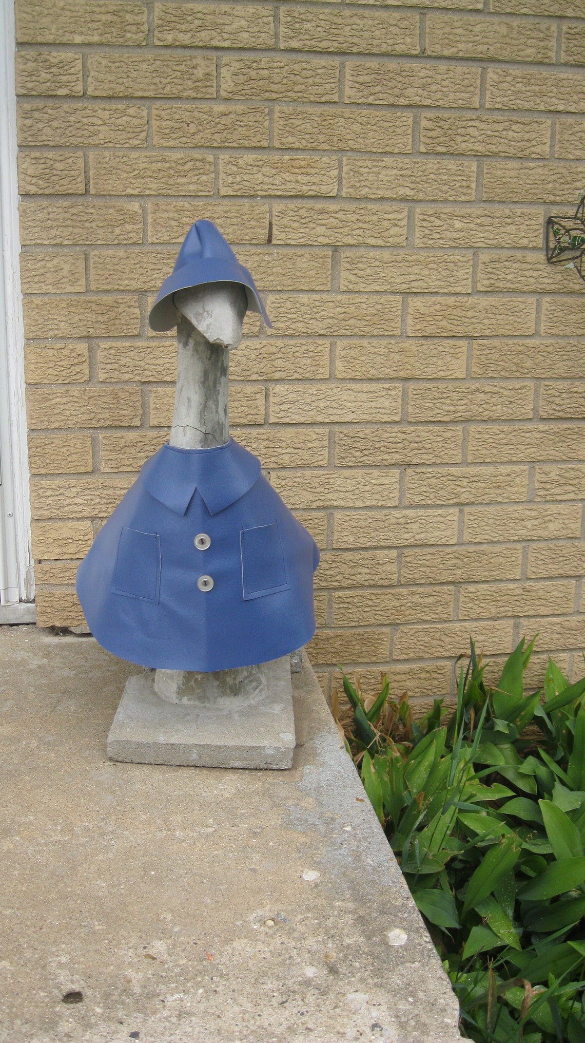 Rain Coat/marine Vinyl Goose Dress/goose Clothes/concrete Etsy