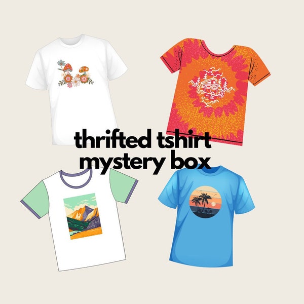 thrifted short sleeve tshirt mystery box | vintage thrifted tee | vintage clothing | goodwill mystery box | vintage short sleeve tshirt